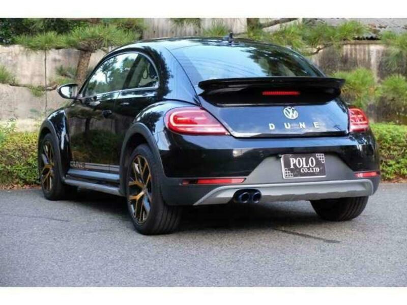 THE BEETLE