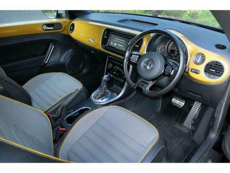 THE BEETLE