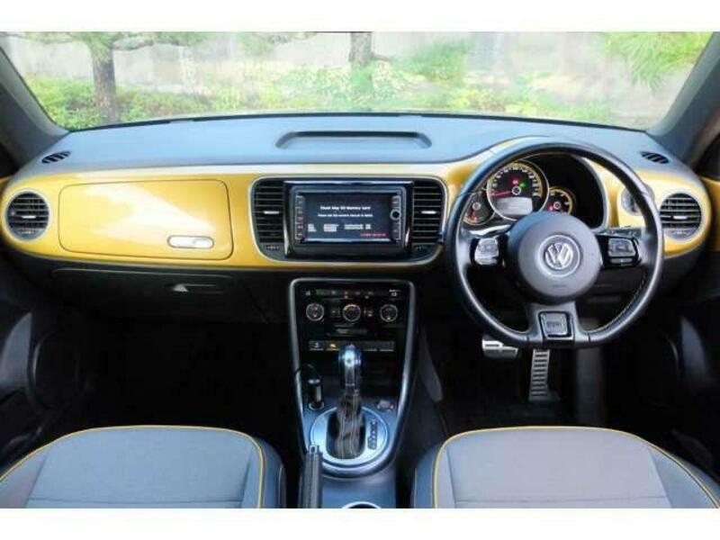THE BEETLE