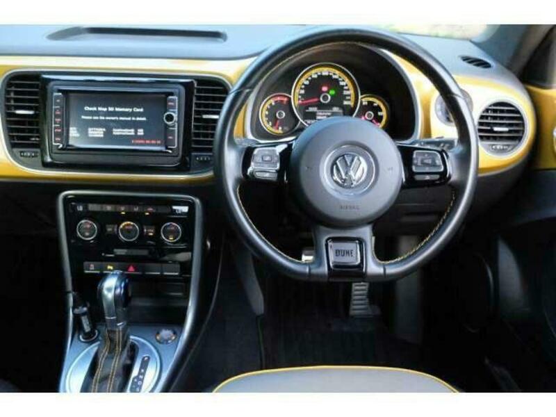 THE BEETLE