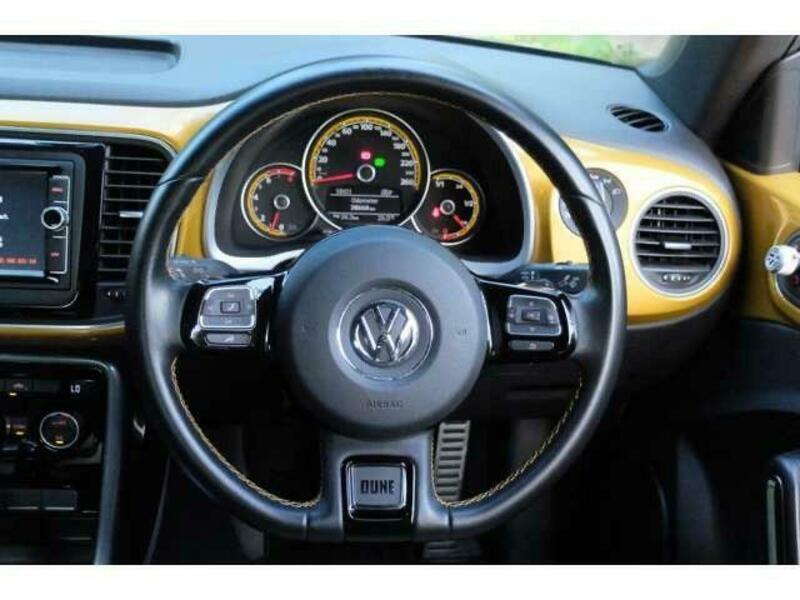 THE BEETLE