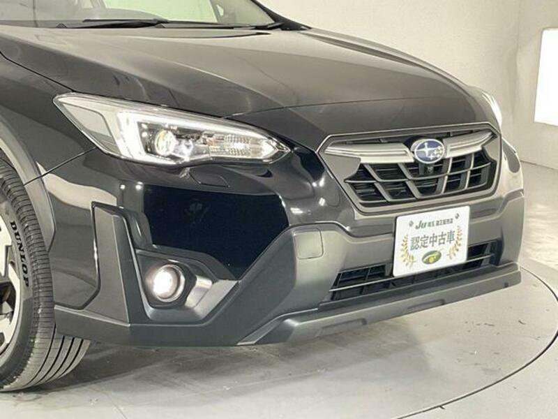 XV