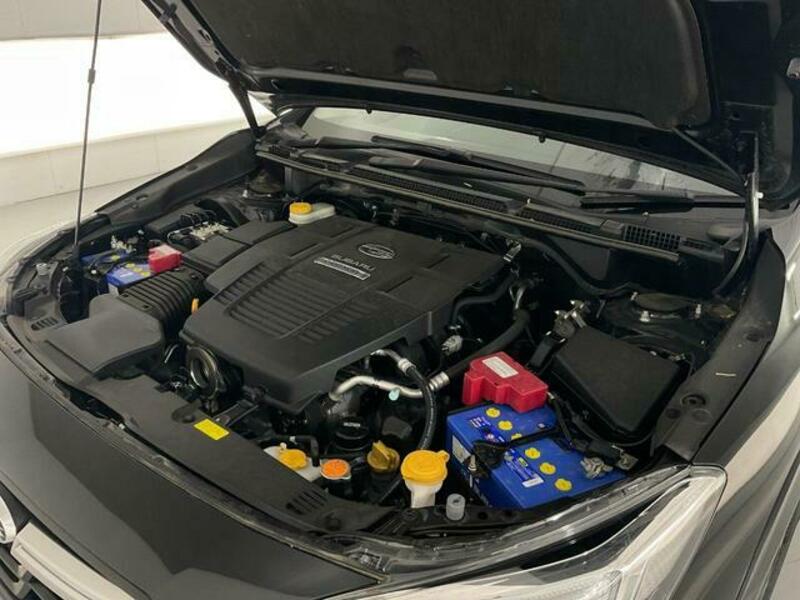 XV