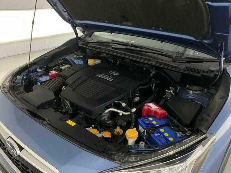 XV