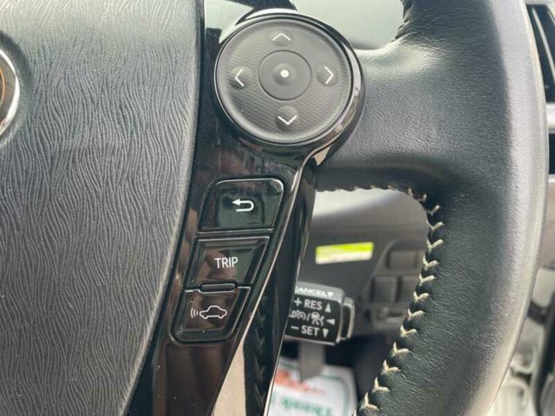 PRIUS ALPHA