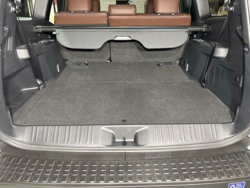 LAND CRUISER 250