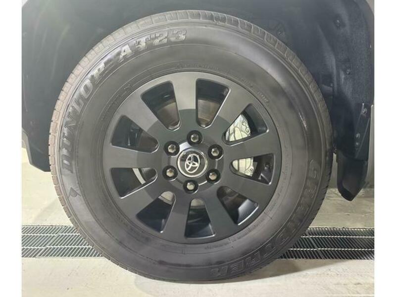LAND CRUISER 250