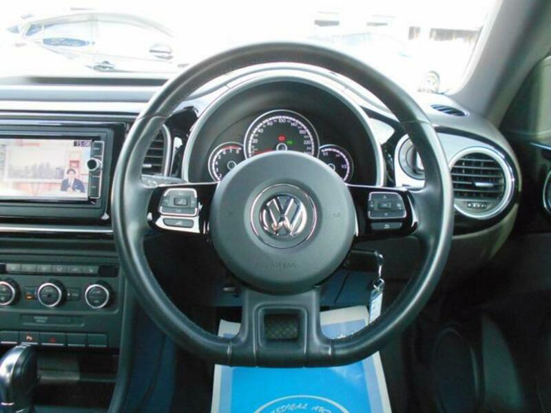 THE BEETLE