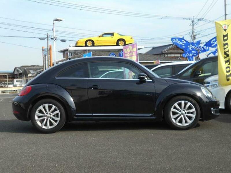 THE BEETLE