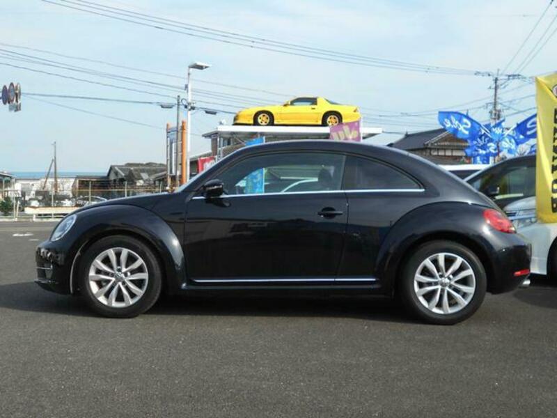 THE BEETLE