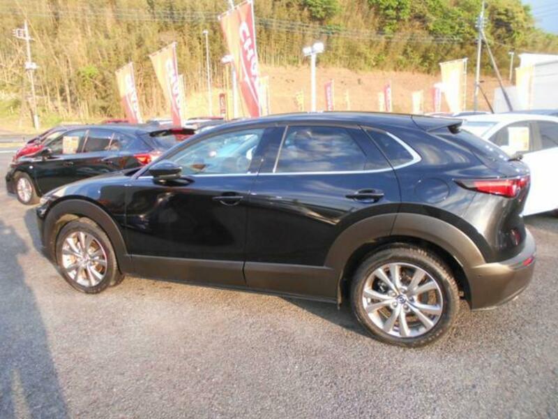 CX-30