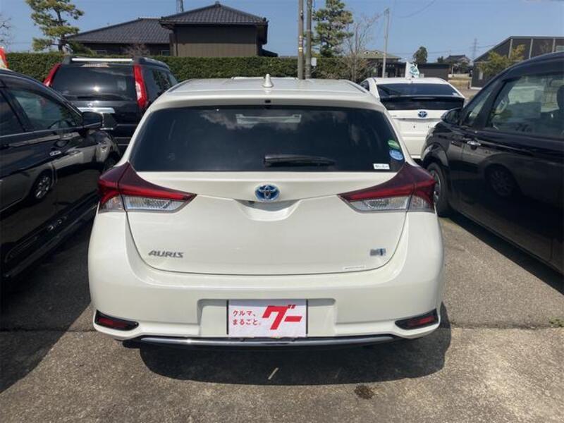 AURIS