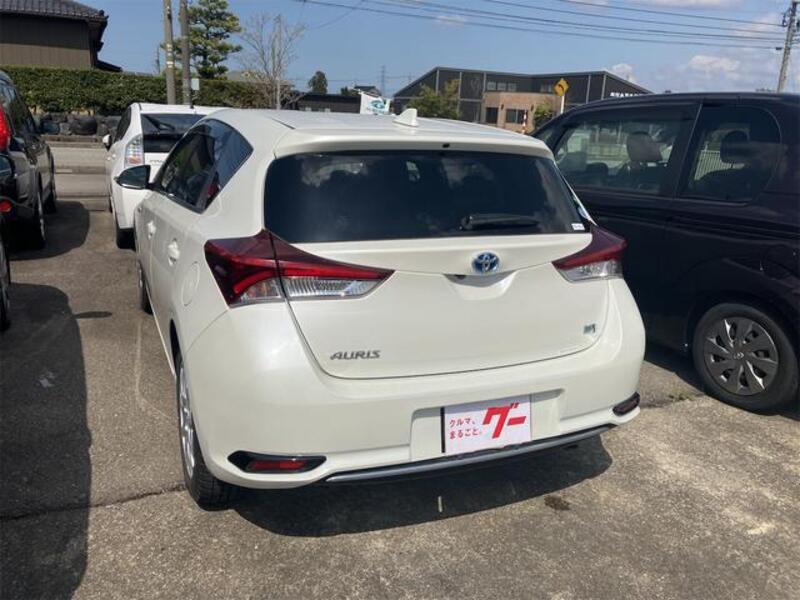 AURIS