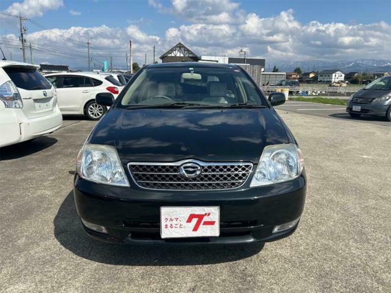 COROLLA FIELDER