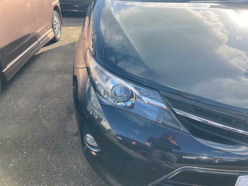 AURIS