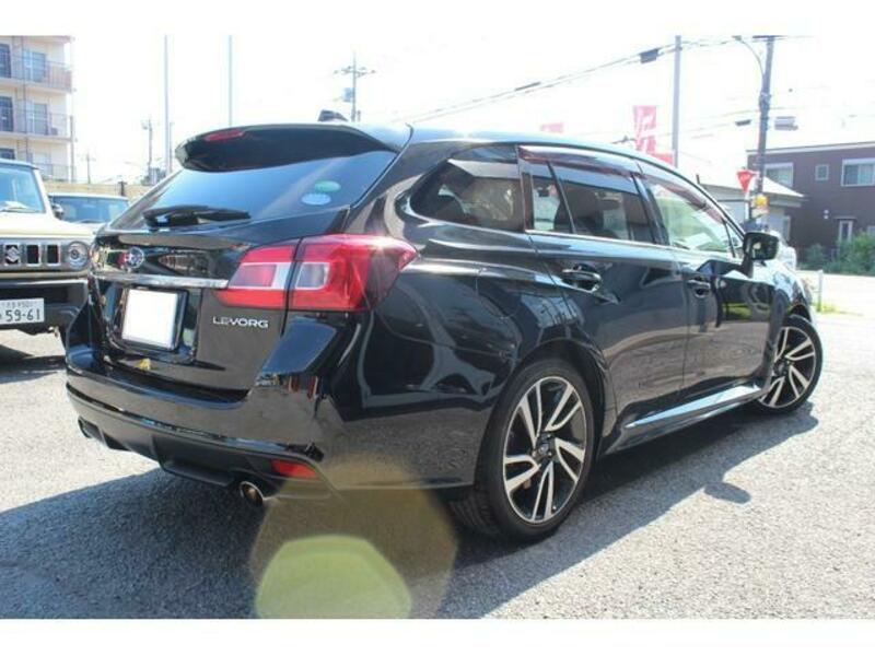 LEVORG