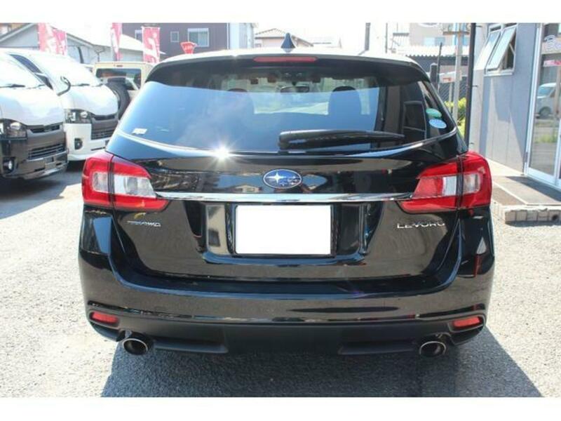 LEVORG