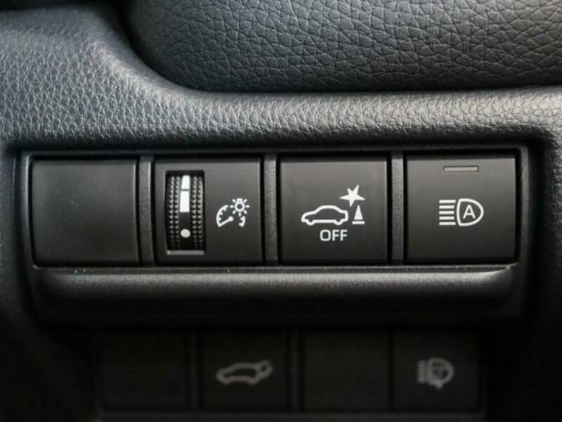 LAND CRUISER 250