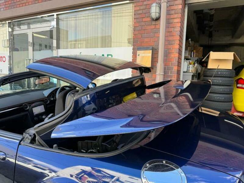 ROADSTER