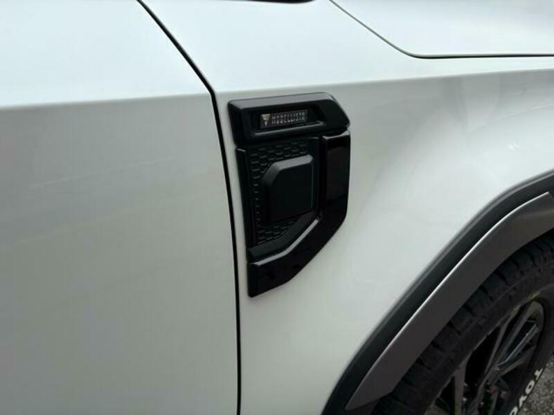 LAND CRUISER 250