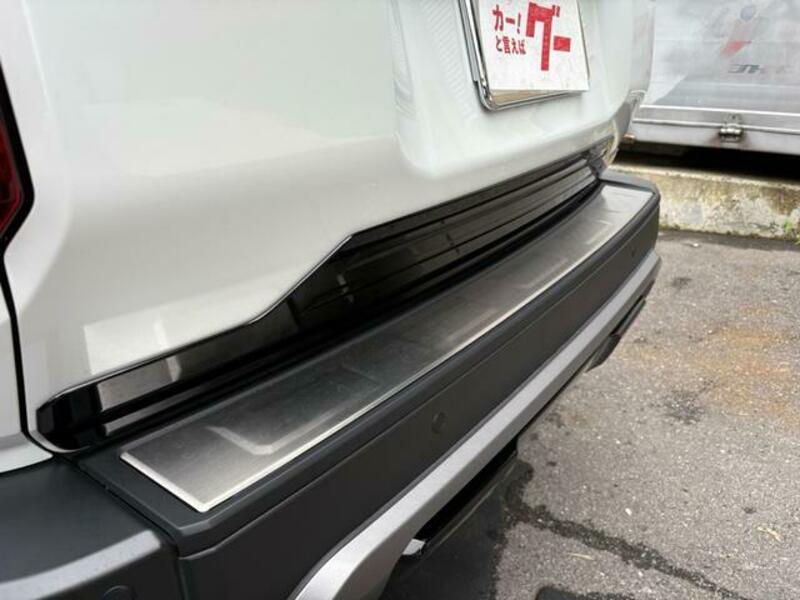 LAND CRUISER 250