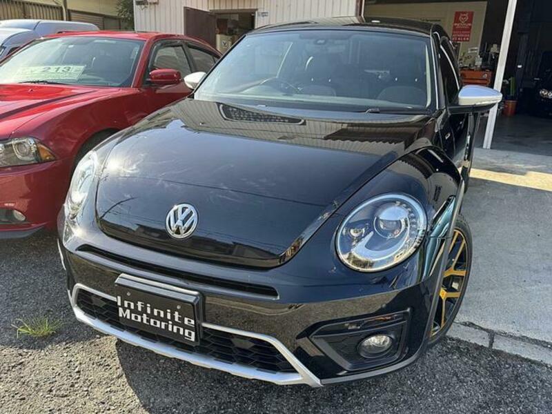 THE BEETLE