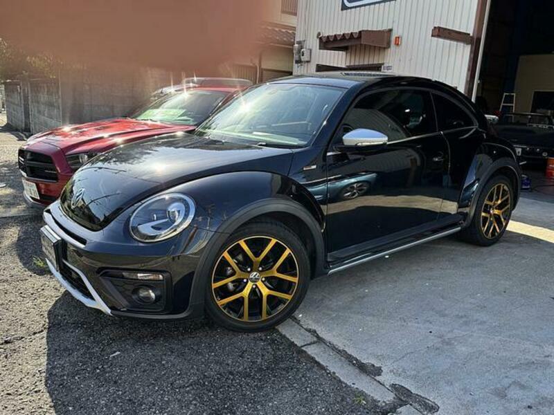 THE BEETLE