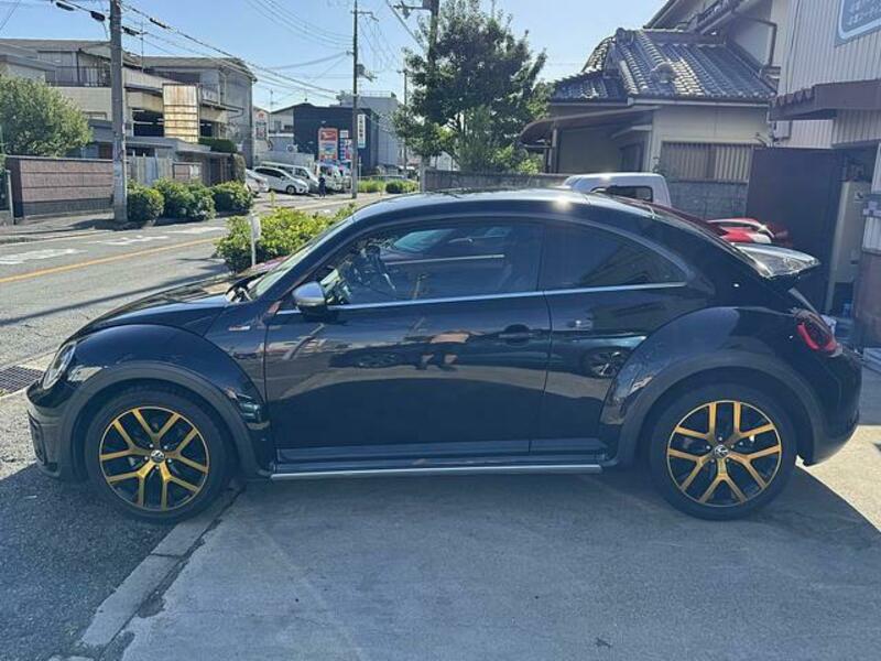 THE BEETLE
