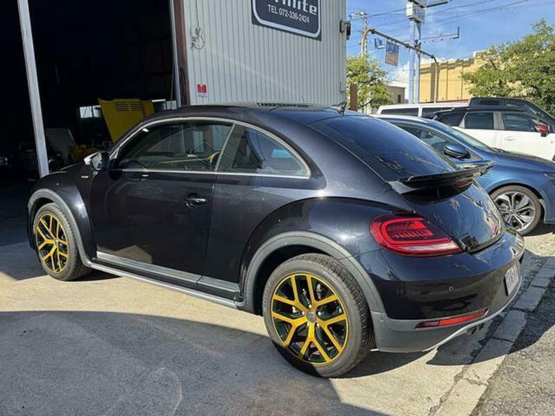 THE BEETLE