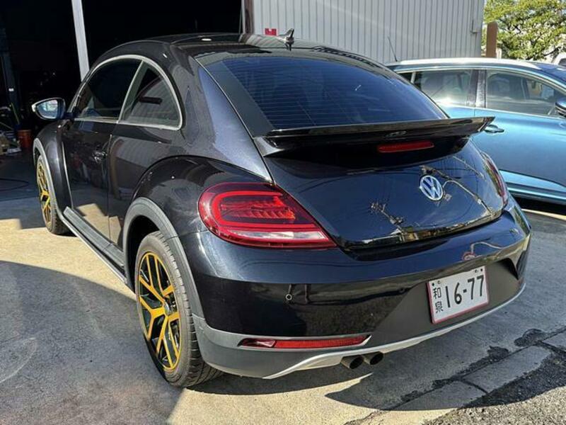 THE BEETLE