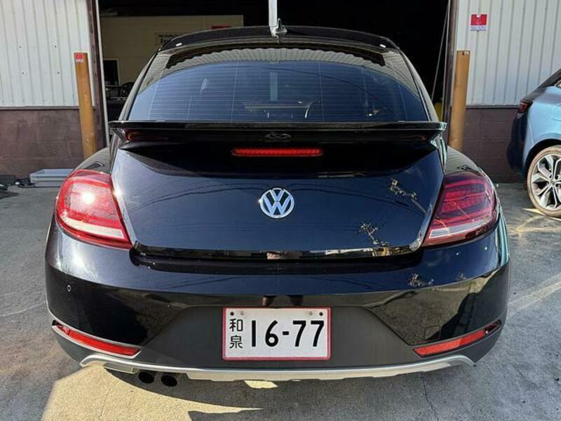 THE BEETLE