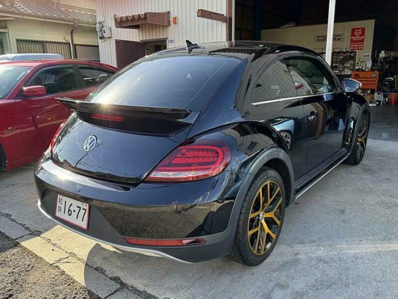 THE BEETLE