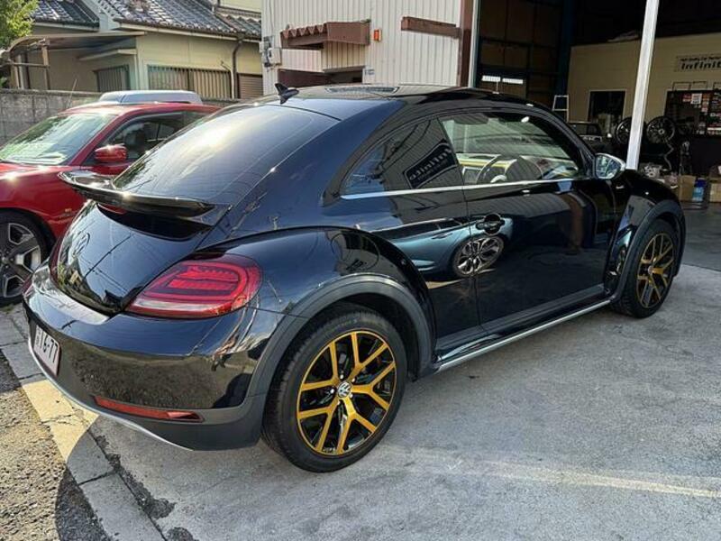 THE BEETLE