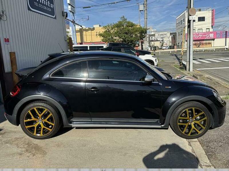 THE BEETLE