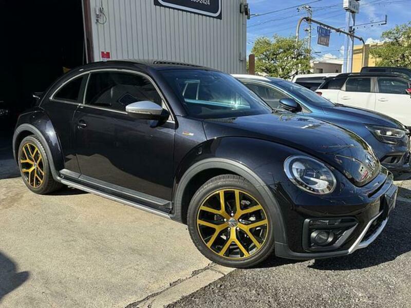 THE BEETLE