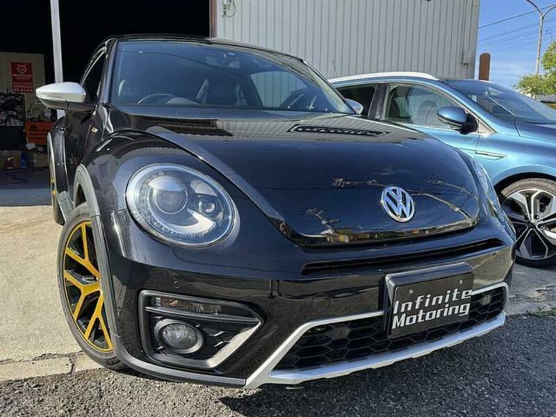 THE BEETLE