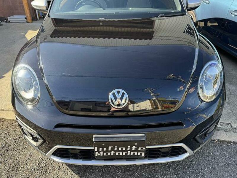 THE BEETLE