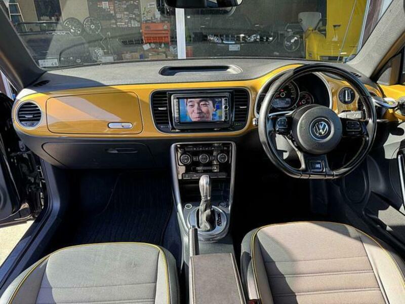 THE BEETLE