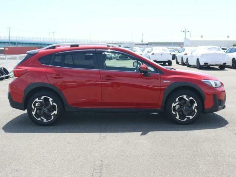 XV