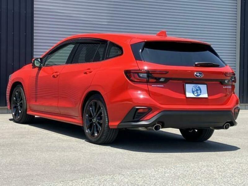 LEVORG