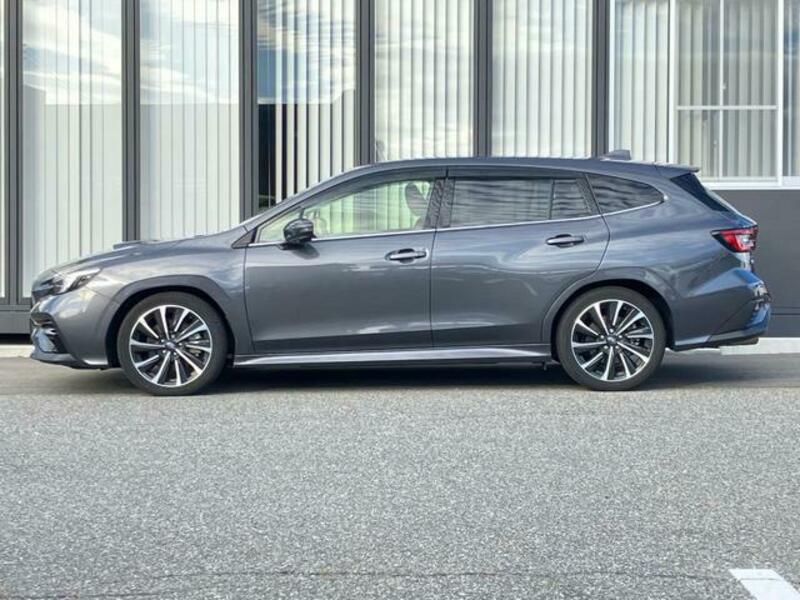 LEVORG