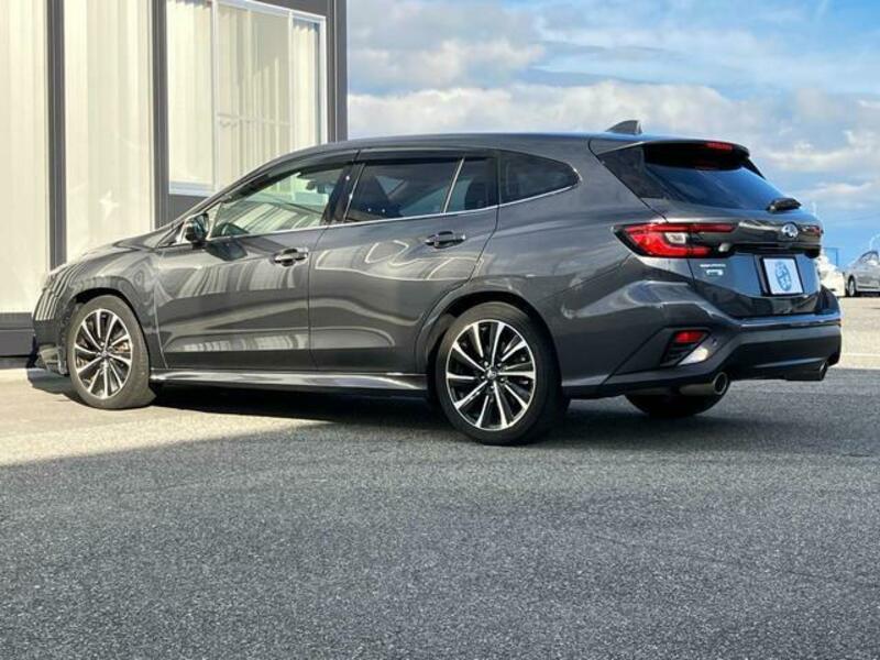 LEVORG