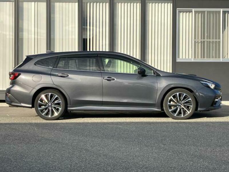 LEVORG
