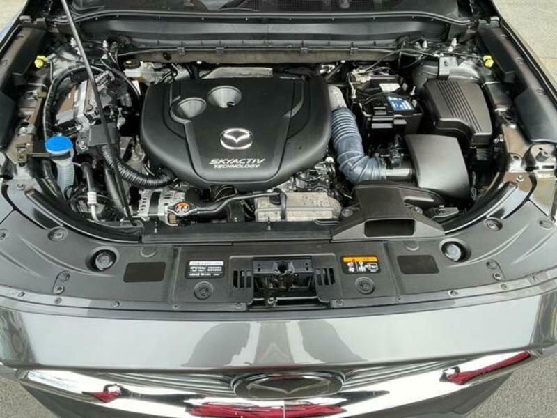 CX-8