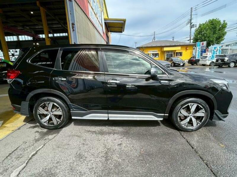 FORESTER