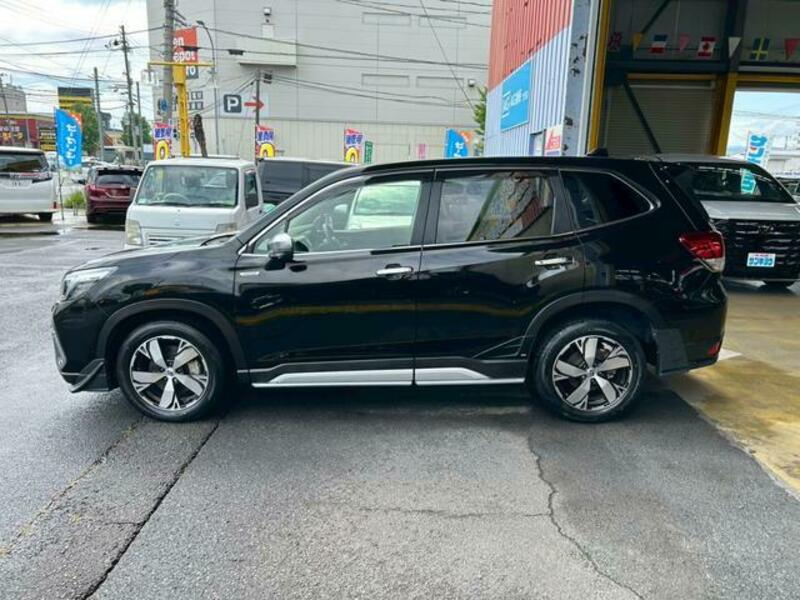 FORESTER