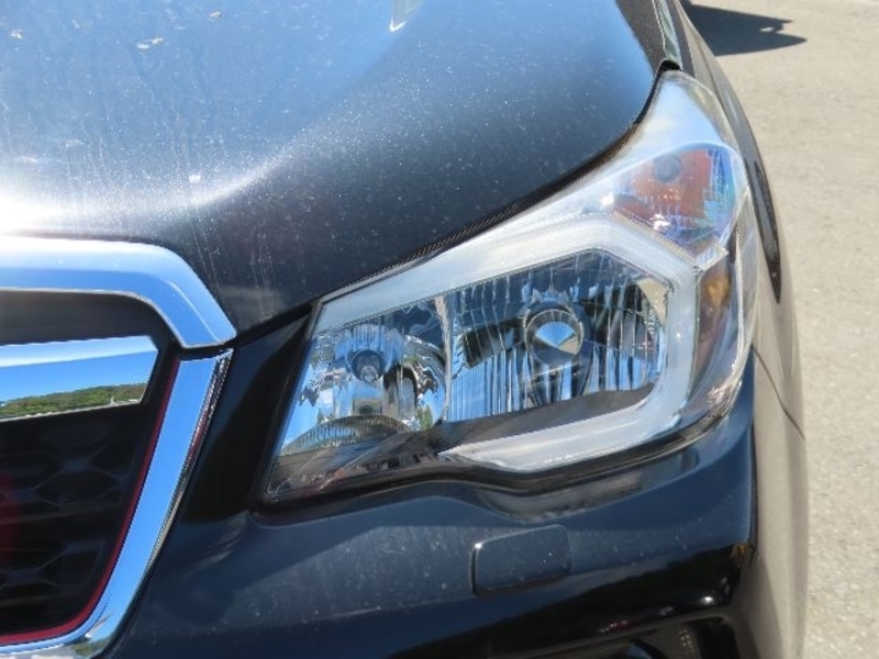 FORESTER