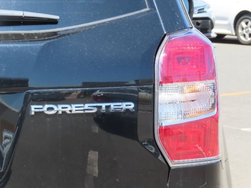 FORESTER