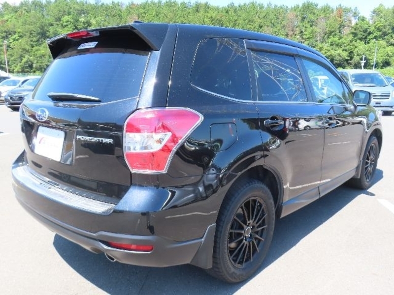 FORESTER