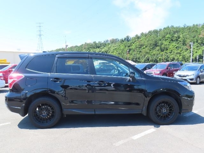 FORESTER